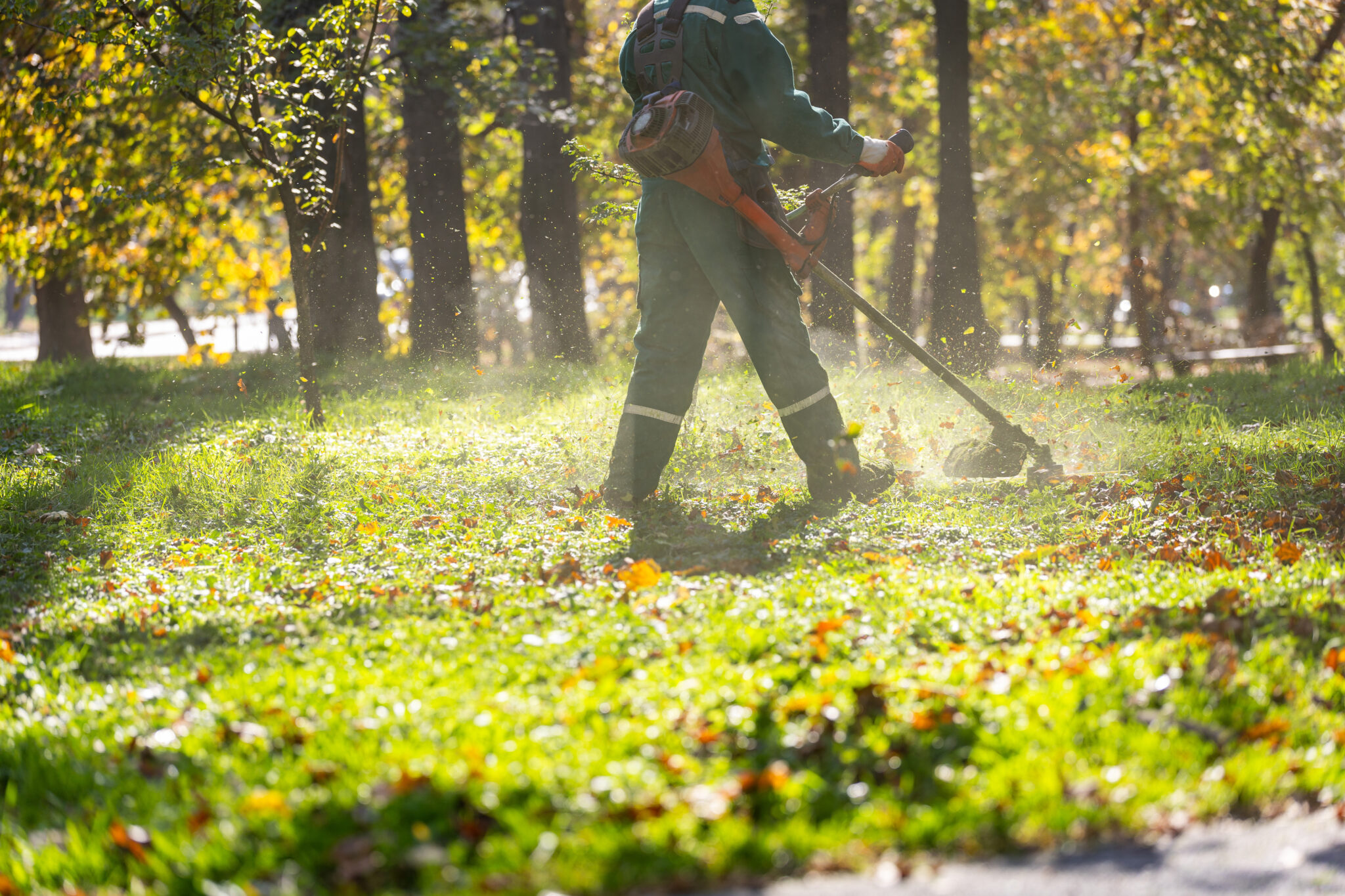 Camp BC Groundskeeping